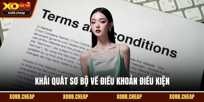 Điều khoản điều kiện Khái quát sơ bộ về điều khoản điều kiện