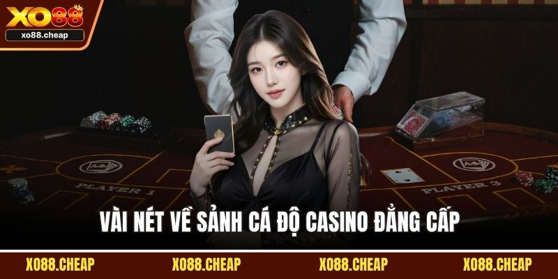Casino Vài nét về sảnh cá độ Casino đẳng cấp
